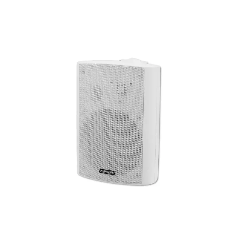 Diffusore a 2 vie Omnitronic 80710531 40 W