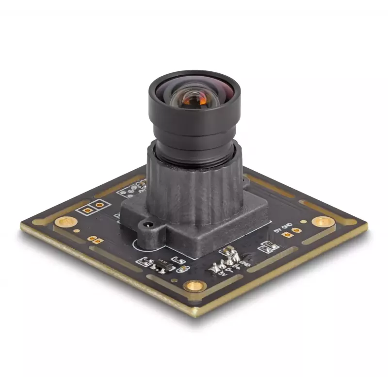 Webcam DeLOCK 12072 2,1 MP 1920 x 1080 USB 2.0 nero