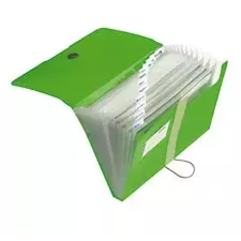 Raccoglitore Herlitz 11209517 verde