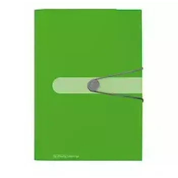 Raccoglitore Herlitz 11209517 verde