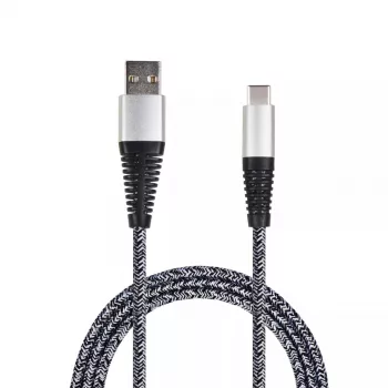 Cavo USB 2GO 795953 USB 3.2 Gen 1 1 m USB B USB C argento