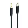Cavo audio 2GO 797219 1 m 3,5 mm USB Type-C nero
