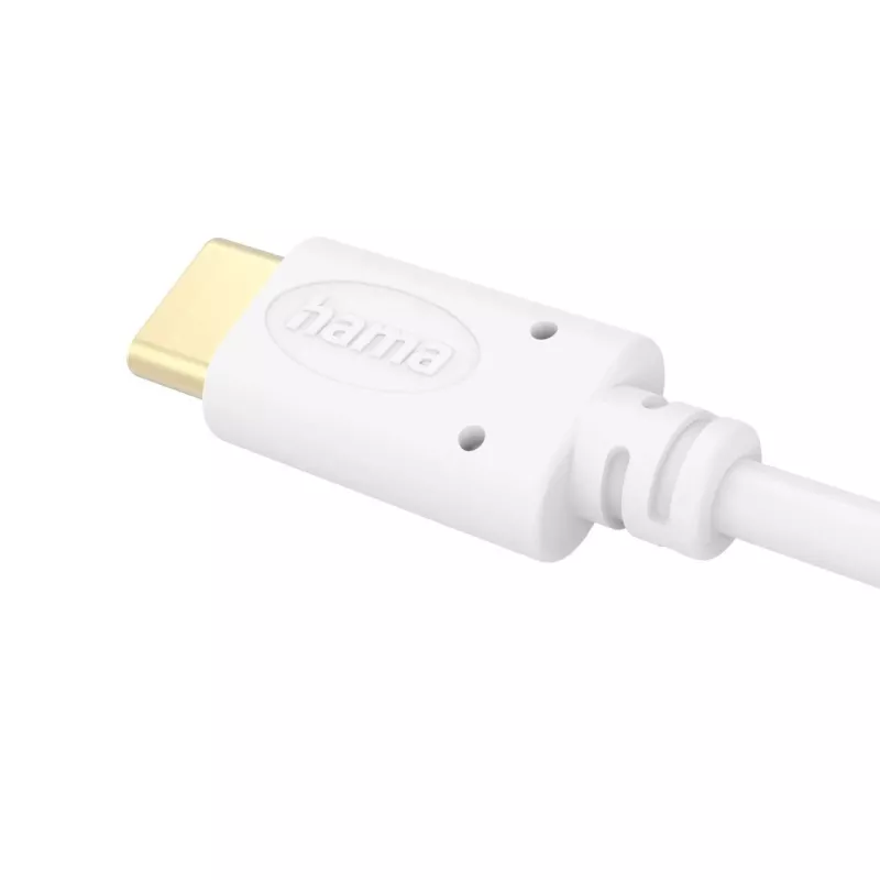 Cavo USB Hama 00201704 USB 2.0 1,5 m USB-C bianco