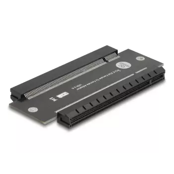 Scheda interfaccia interna DeLOCK 81293