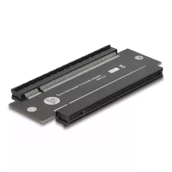 Scheda interfaccia interna DeLOCK 81293