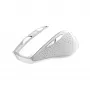 Trust Nito mouse universale per destrimani RF Wireless ottico 2200 DPI