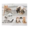 Portapenne HERMA 19733 design Cat elegante e funzionale