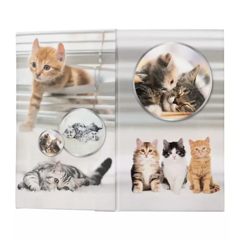 Portapenne HERMA 19733 design Cat elegante e funzionale