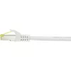 Cavo di rete Renkforce RF-4149858 0,25 m Cat6a S/FTP grigio