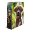 Raccoglitore ad anelli A4 Herma 20098 – cartone, formato A4, 1 pezzo, multicolore