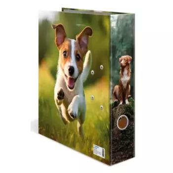 Raccoglitore ad anelli A4 Herma 20098 – cartone, formato A4, 1 pezzo, multicolore