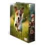 Raccoglitore ad anelli A4 Herma 20098 – cartone, formato A4, 1 pezzo, multicolore