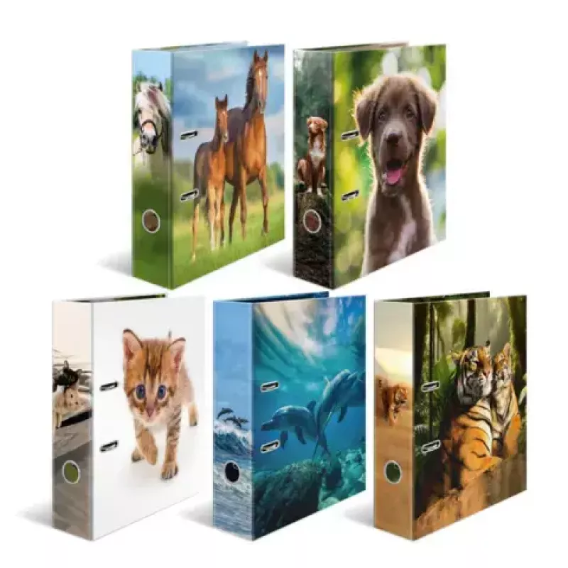 Raccoglitore ad anelli Herma 20101 A4 cartone, multicolore, 1 pezzo