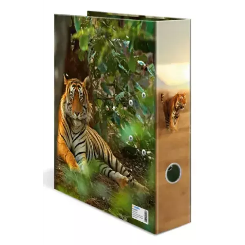 Raccoglitore ad anelli Herma 20101 A4 cartone, multicolore, 1 pezzo