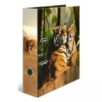 Raccoglitore ad anelli Herma 20101 A4 cartone, multicolore, 1 pezzo