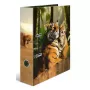 Raccoglitore ad anelli Herma 20101 A4 cartone, multicolore, 1 pezzo