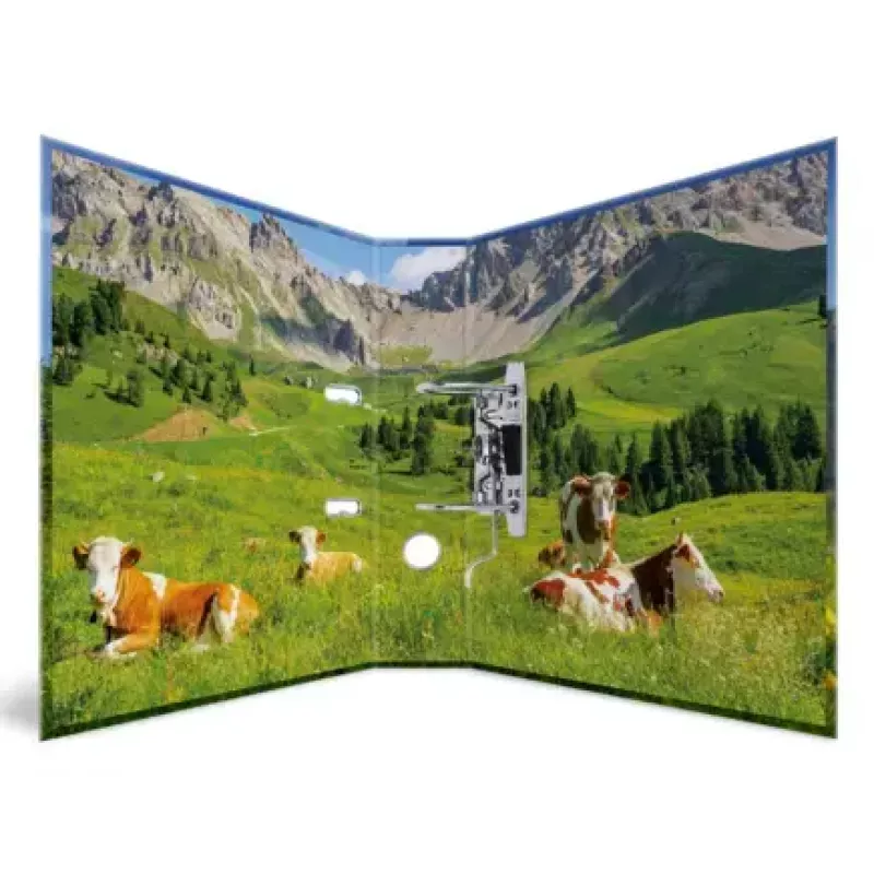 Raccoglitore ad anelli A4 Herma 20140, cartone, formato A4, singolo, multicolore
