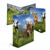 Raccoglitore ad anelli A4 Herma 20140, cartone, formato A4, singolo, multicolore