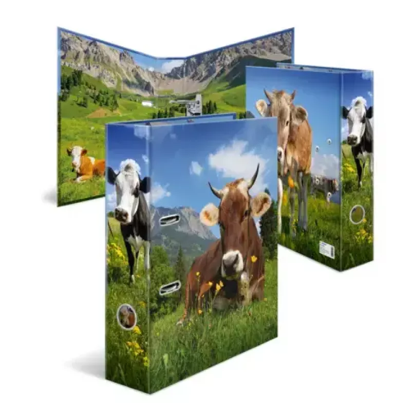 Raccoglitore ad anelli A4 Herma 20140, cartone, formato A4, singolo, multicolore
