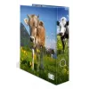 Raccoglitore ad anelli A4 Herma 20140, cartone, formato A4, singolo, multicolore