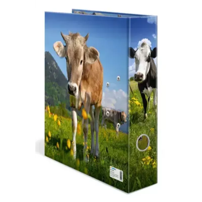 Raccoglitore ad anelli A4 Herma 20140, cartone, formato A4, singolo, multicolore