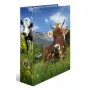 Raccoglitore ad anelli A4 Herma 20140, cartone, formato A4, singolo, multicolore