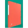 Scatola raccoglitore Oxford 100200360