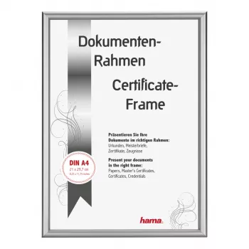 Hama Detroit Cornice singola argento