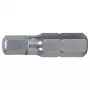 Punta per avvitatore KS Tools 910.2259 Hex acciaio inox 25 mm