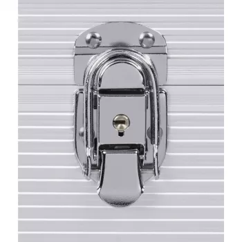 Hama 00181435 Valigetta portadischetti Microgroove valigetta per dischi vinile argento