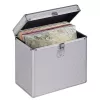 Hama 00181435 Valigetta portadischetti Microgroove valigetta per dischi vinile argento