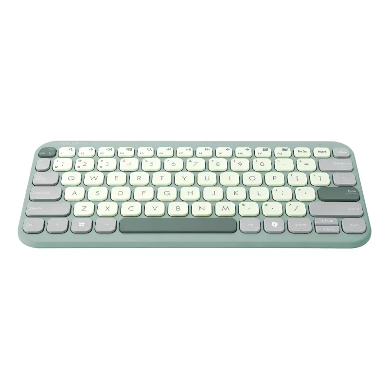 ASUS Marshmallow KW100 90XB0880-BKB200 tastiera, layout tedesco QWERTZ, meccanismo a forbice, tasto Copilot, verde