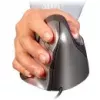 Mouse Evoluent VM4RW RF Wireless