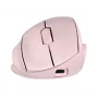 HP Tilt Ergo PNK MSE 720M EMEA-INTL EN L mouse