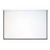 Ricoh PJ WUL5860 4000 ANSI Lumen DLP WUXGA (1920x1200) bianco