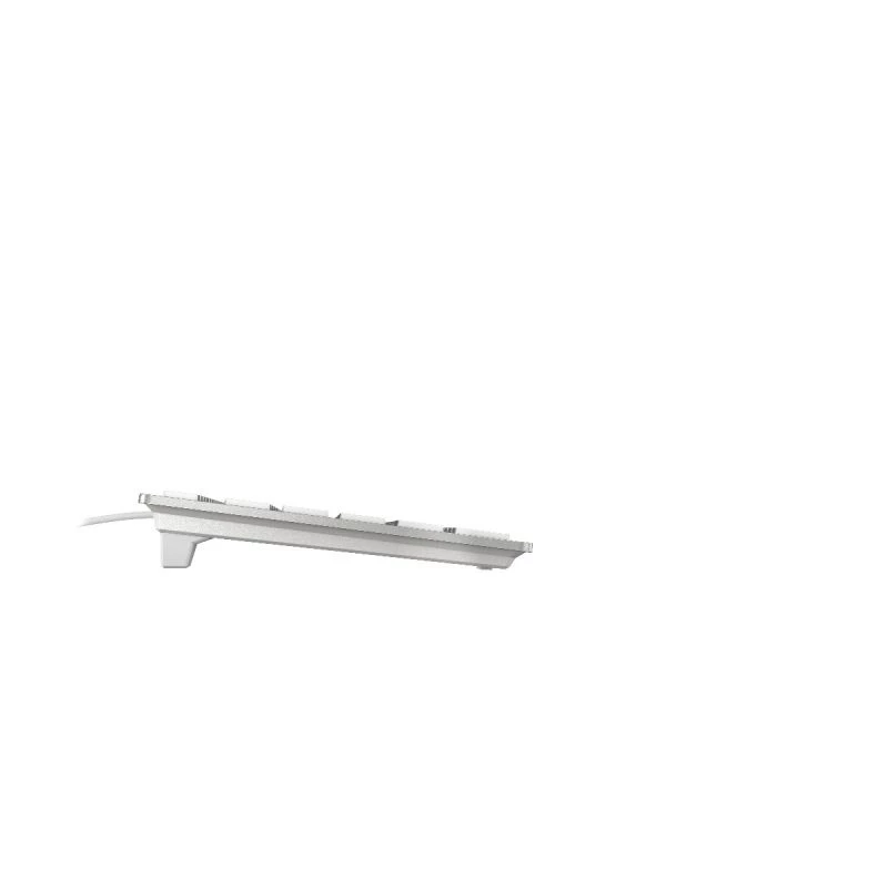 CHERRY KC 6000 sottile FOR MAC tastiera office USB AZERTY francese argento