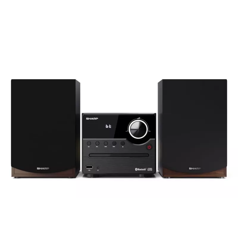 Sharp XL-B512(BR) Sistema audio domestico Micro impianto audio 45 W Marrone