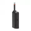 Set di microfoni JBL Wireless Two Microphone System