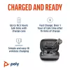 HP Poly Voyager Free 60 UC M Carbon nero auricolari +BT700 adattatore USB-C +Basic Charge Case