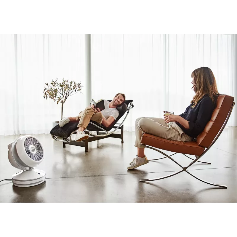 Rowenta HQ7152 Ventilatore per interni bianco, argento termoventilatore elettrico