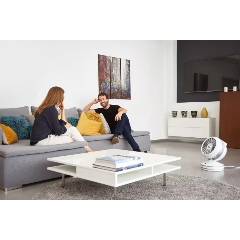 Rowenta HQ7152 Ventilatore per interni bianco, argento termoventilatore elettrico