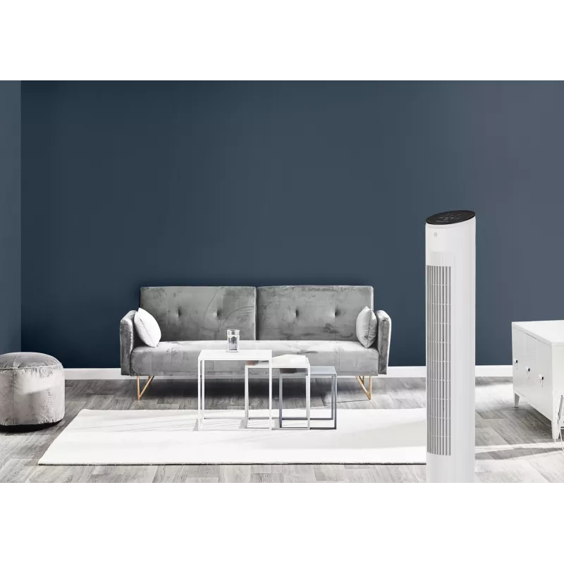 Ventilatore a torre per la casa Rowenta Eole VU6871 bianco 40W AC 220-240V