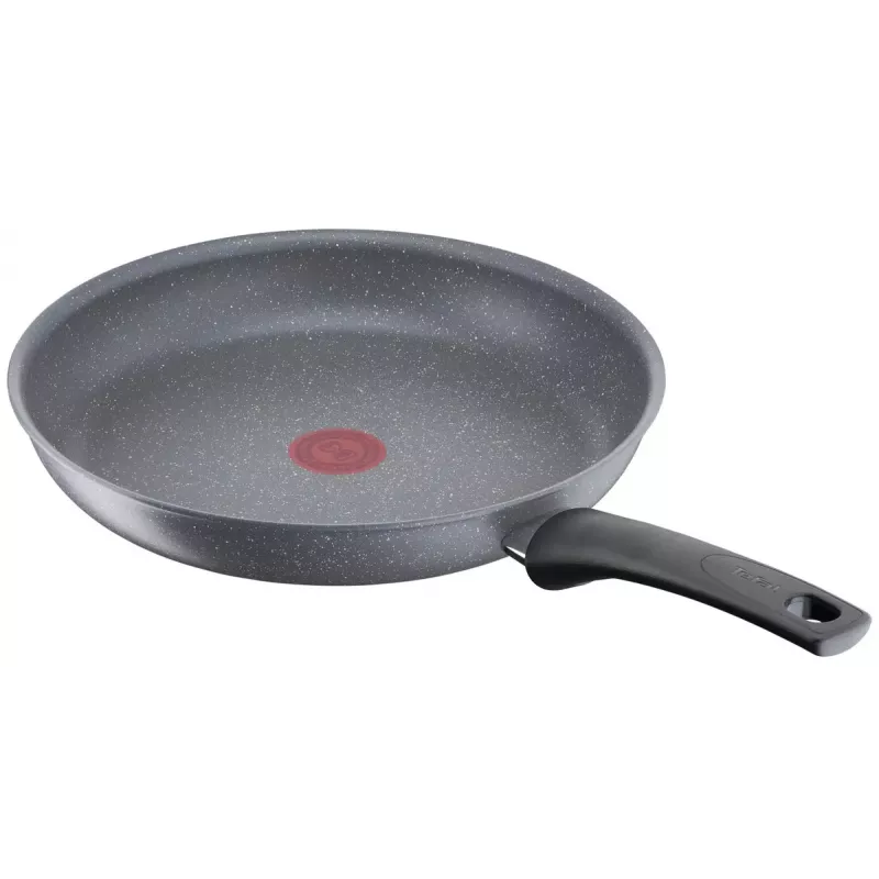 Padella multiuso Tefal Healthy Chef G15004 rotonda 24 cm grigio