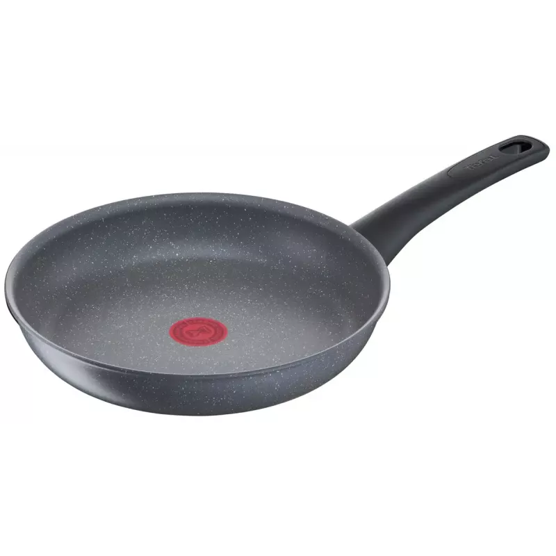 Padella multiuso Tefal Healthy Chef G15004 rotonda 24 cm grigio