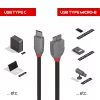 Lindy cavo USB 3.2 Type-C a Micro-B 2 m, Anthra Line, 2 m, USB C, Micro-USB B, USB 3.2 Gen 1 (3.1 Gen 1), nero
