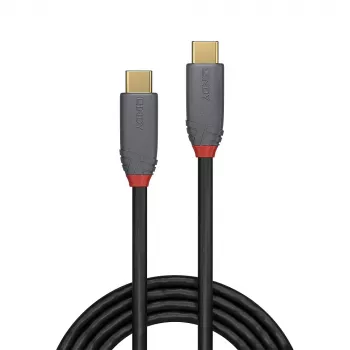 Lindy 36904 cavo USB USB 3.2 Gen 2 (3.1 Gen 2) 3 m USB C nero