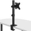 Lindy supporto display fisso Stubby, 8 kg, 33 cm (13
