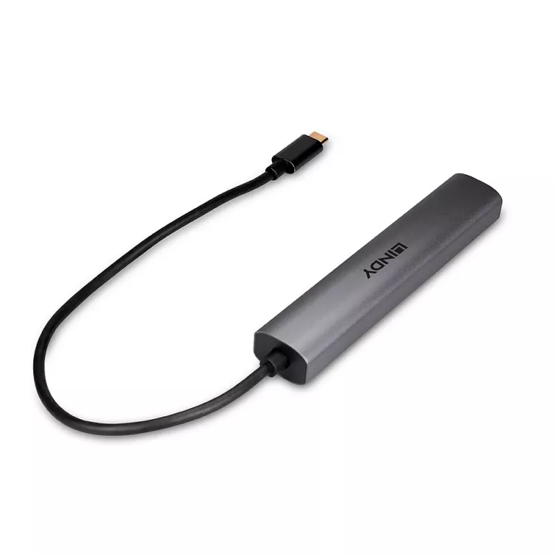Lindy 43385 hub di interfacce USB Type-C 10000 Mbit/s grigio