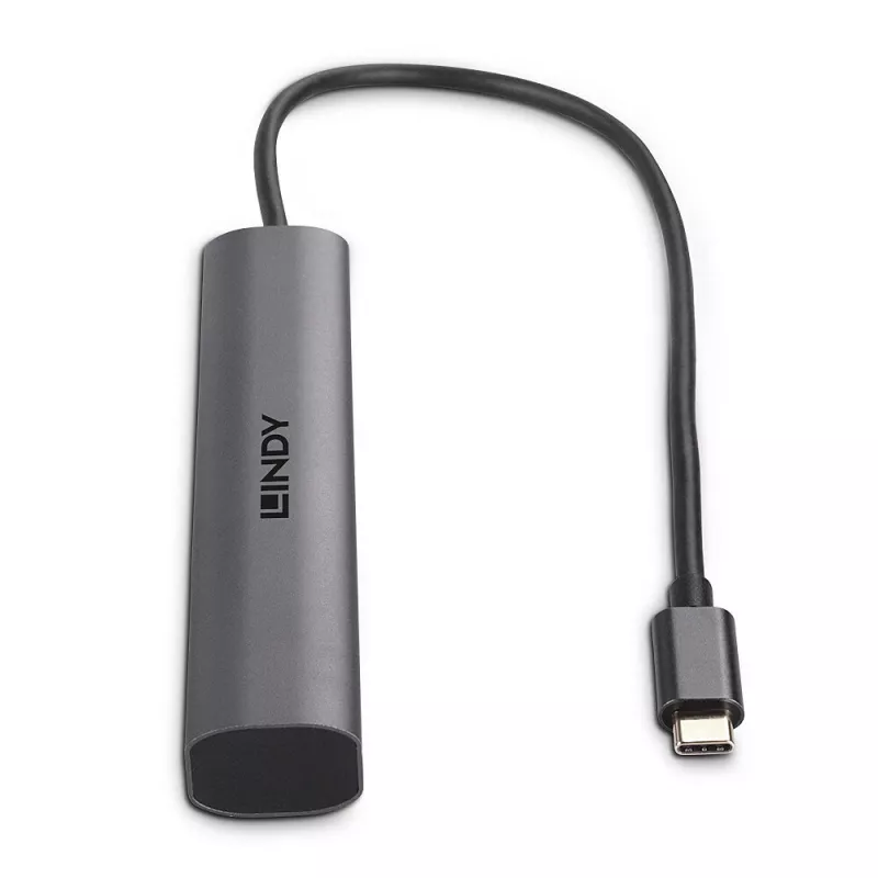 Lindy 43385 hub di interfacce USB Type-C 10000 Mbit/s grigio