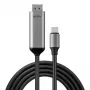 Lindy 43504 adattatore cavo video 2 m USB Type-C DisplayPort grigio